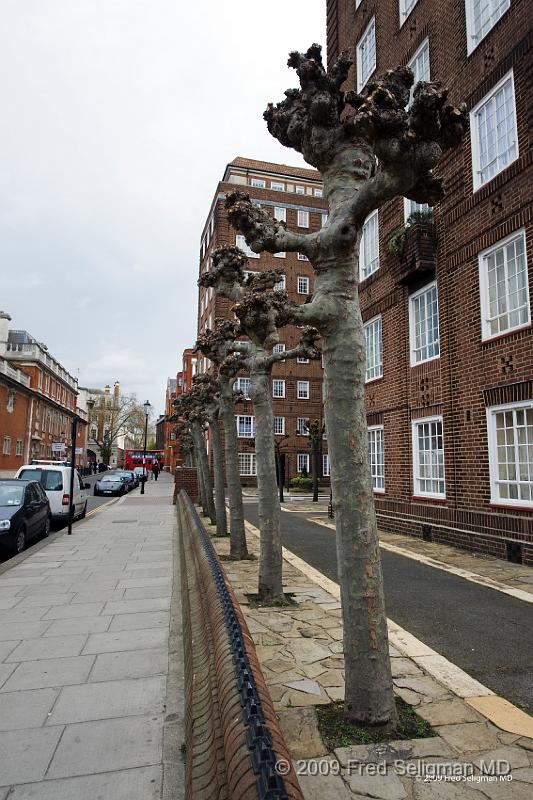 20090410_111641_D3 P1.jpg - Residential Street, Chelsea